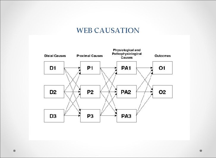 WEB CAUSATION 