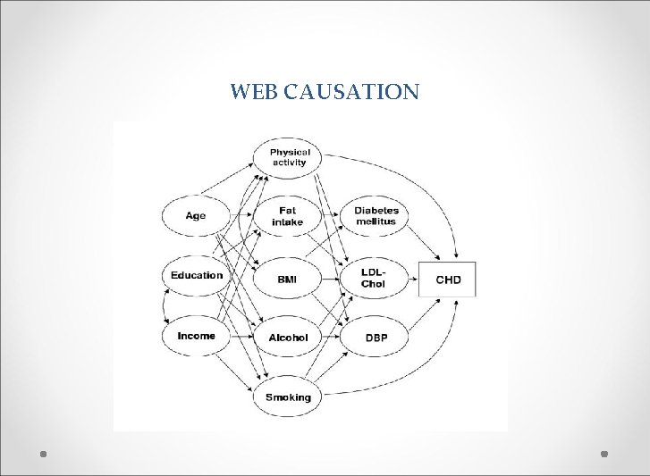 WEB CAUSATION 