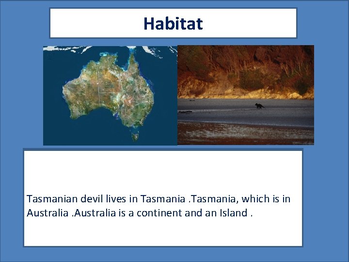 Habitat z Map showing where your animal lives Picture showing your animal in its