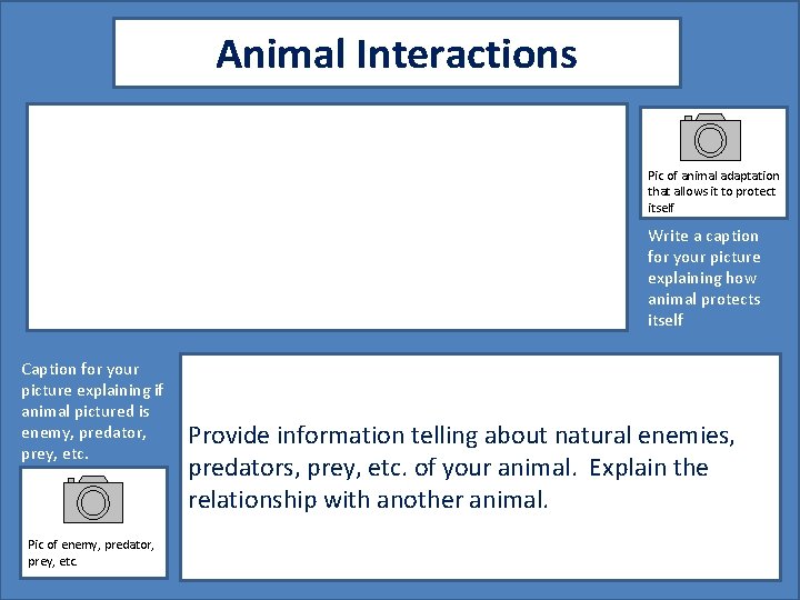 Animal Interactions Pic of animal adaptation that allows it to protect itself Write a
