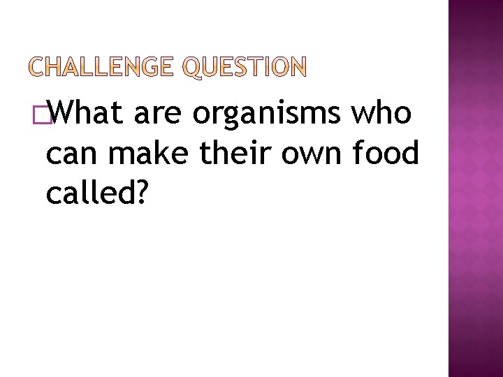 �What are organisms who can make their own food called? 