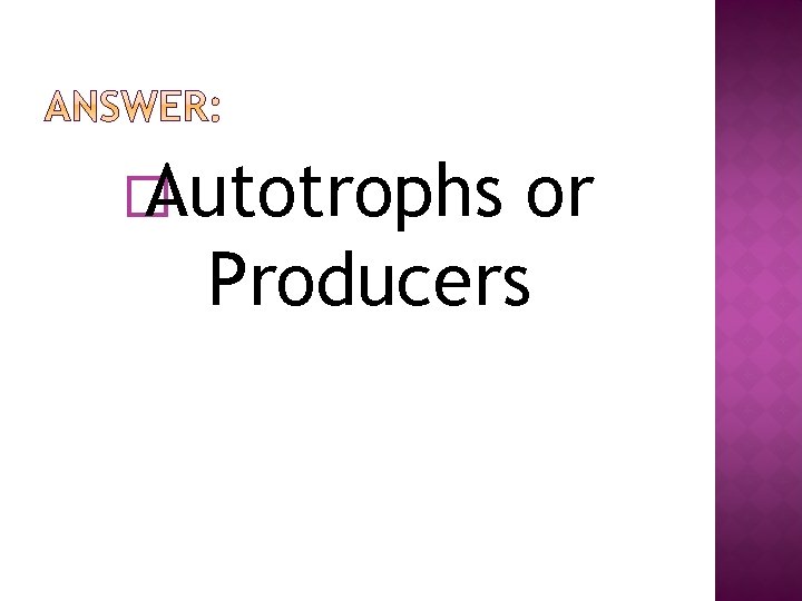 � Autotrophs or Producers 