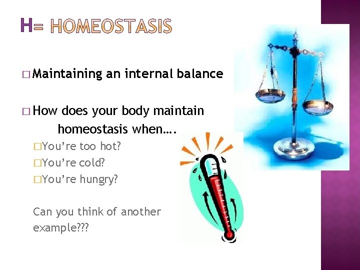 H � Maintaining � How an internal balance does your body maintain homeostasis when….