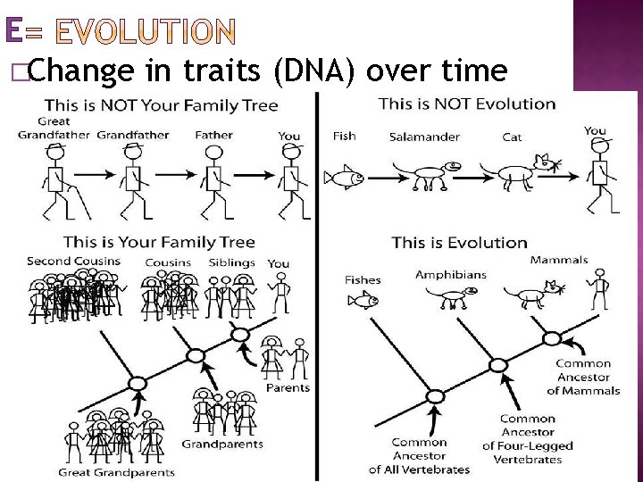 E �Change in traits (DNA) over time 