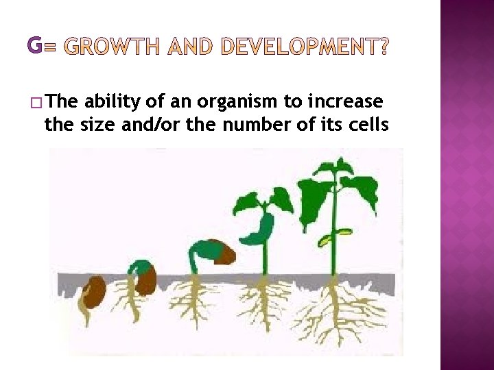 G � The ability of an organism to increase the size and/or the number
