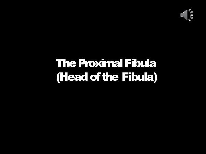 The Proximal Fibula (Head of the Fibula) 
