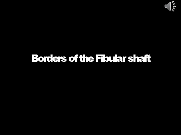 Borders of the Fibular shaft 