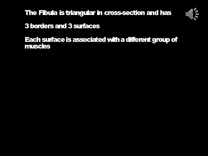 The Fibula is triangular in cross-section and has 3 borders and 3 surfaces Each