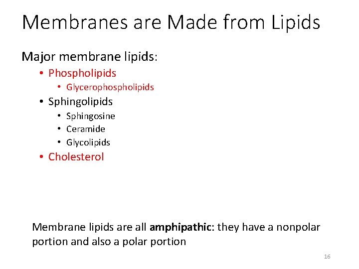 Membranes are Made from Lipids Major membrane lipids: • Phospholipids • Glycerophospholipids • Sphingolipids