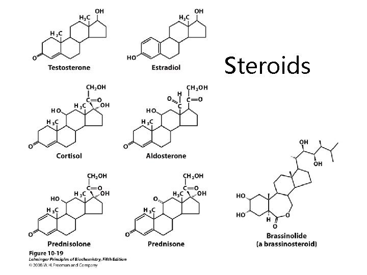 Steroids 