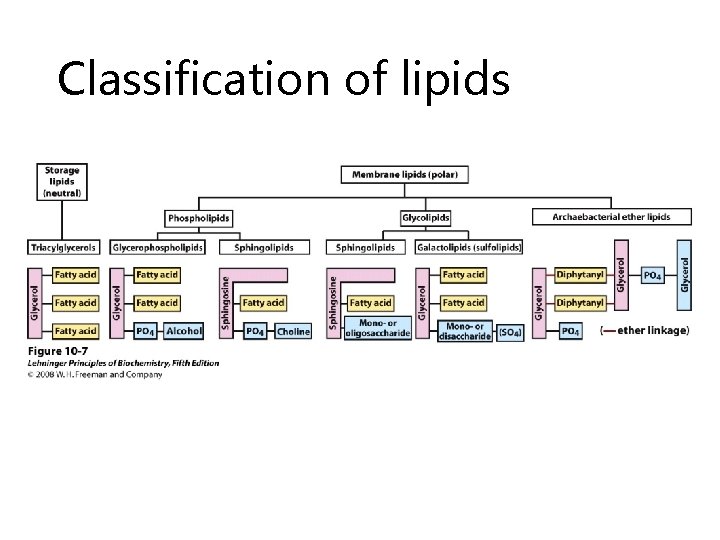 Classification of lipids 