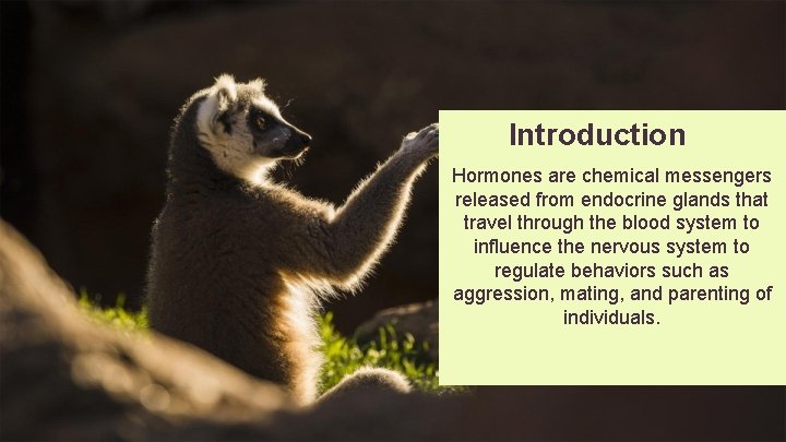 Introduction Hormones are chemical messengers released from endocrine glands that travel through the blood