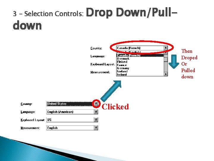 3 – Selection Controls: down Drop Down/Pull. Then Droped Or Pulled down Clicked 
