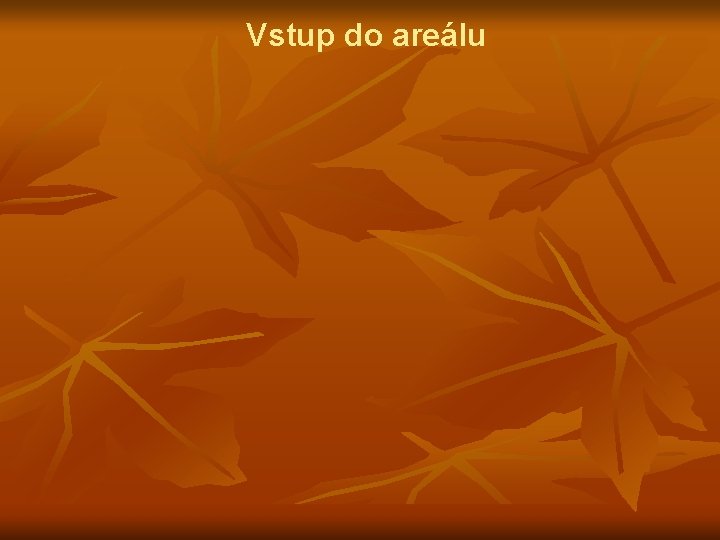 Vstup do areálu 