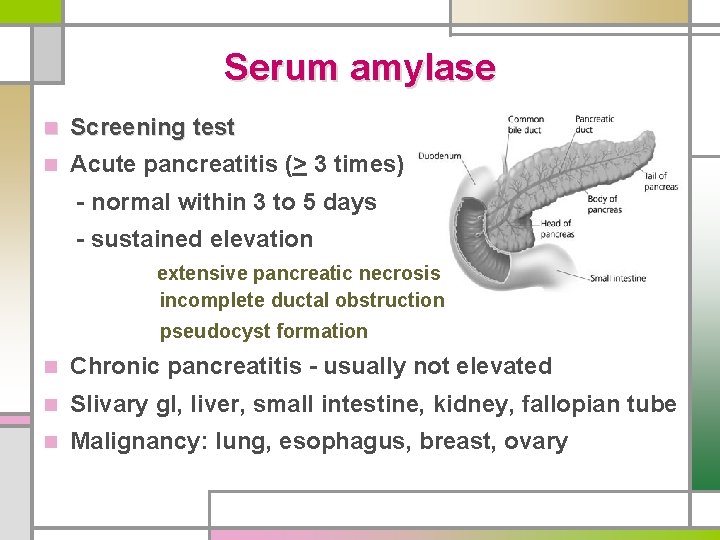 Serum amylase n Screening test n Acute pancreatitis (> 3 times) - normal within