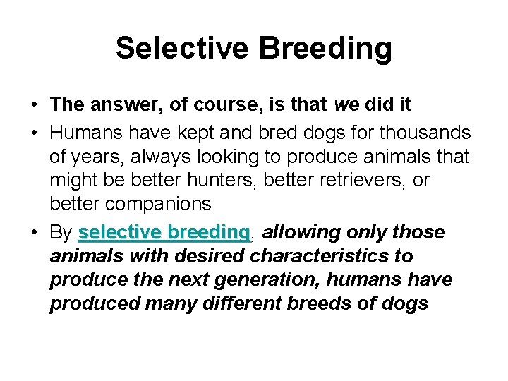 Selective Breeding • The answer, of course, is that we did it • Humans
