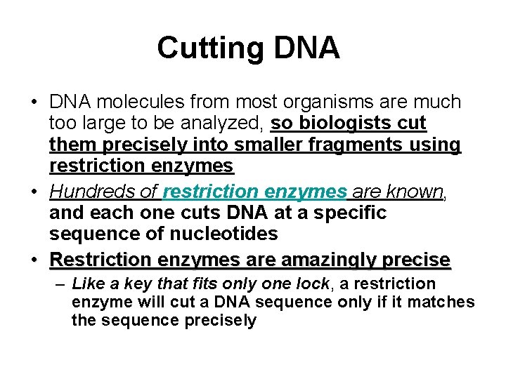 Cutting DNA • DNA molecules from most organisms are much too large to be