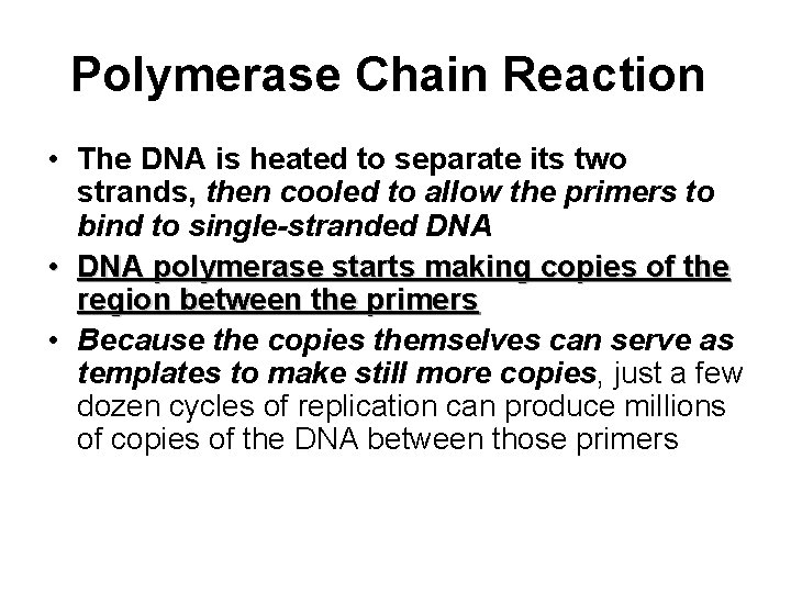 Polymerase Chain Reaction • The DNA is heated to separate its two strands, then