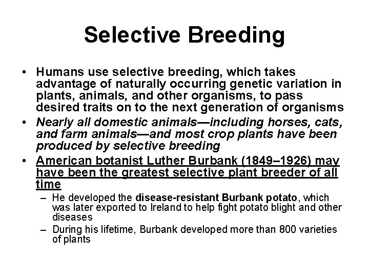 Selective Breeding • Humans use selective breeding, which takes advantage of naturally occurring genetic