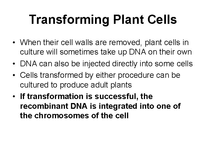 Transforming Plant Cells • When their cell walls are removed, plant cells in culture