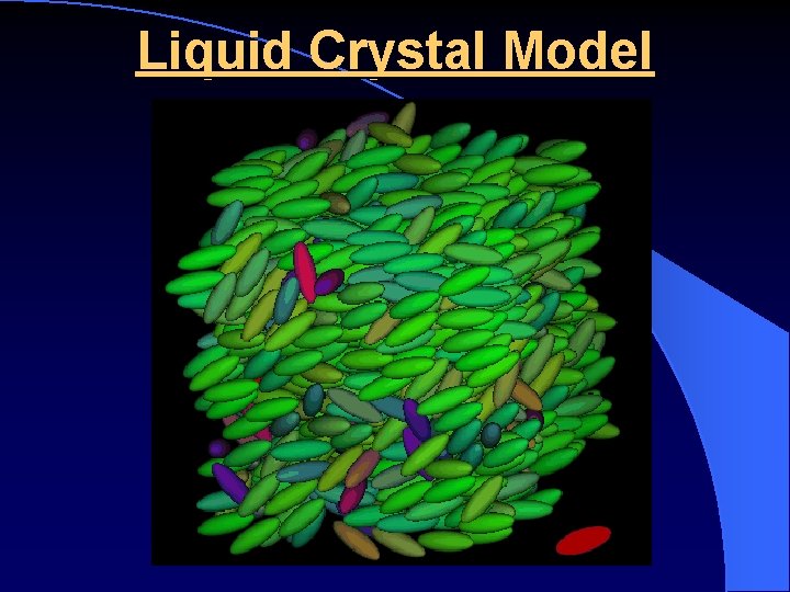 Liquid Crystal Model 