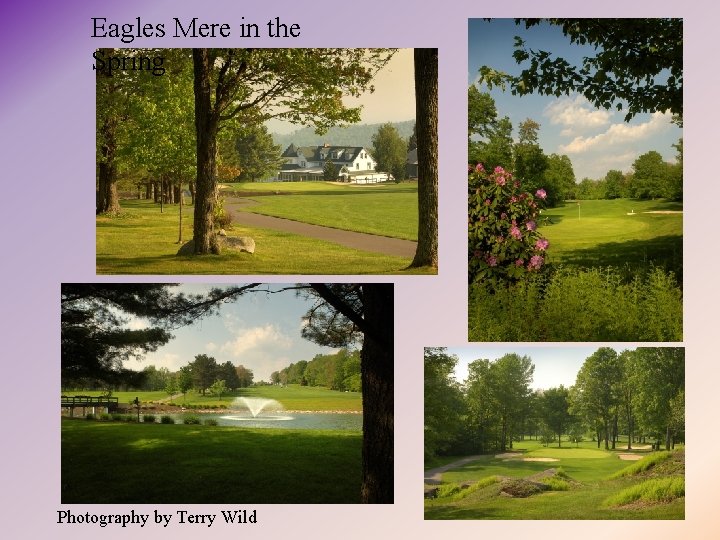 Eagles Mere in the Spring Photography by Terry Wild 