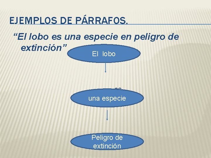 EJEMPLOS DE PÁRRAFOS. “El lobo es una especie en peligro de extinción” El lobo