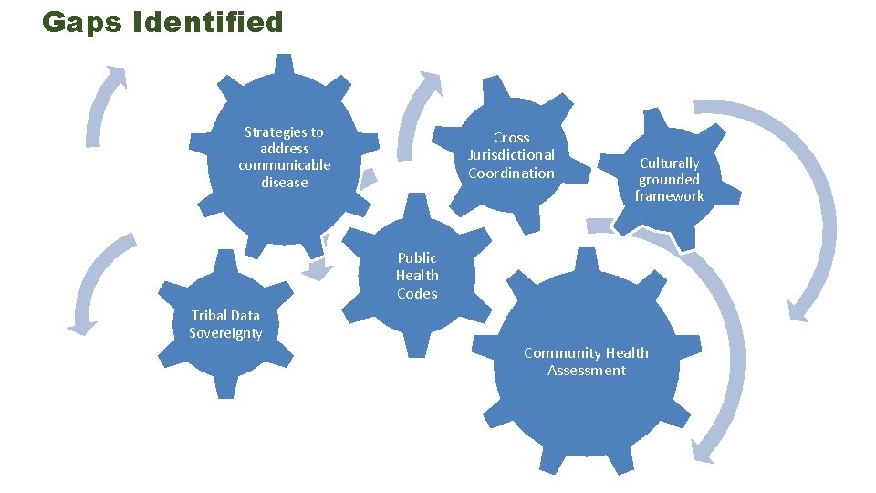 Gaps Identified Strategies to address communicable disease Cross Jurisdictional Coordination Culturally grounded framework Public