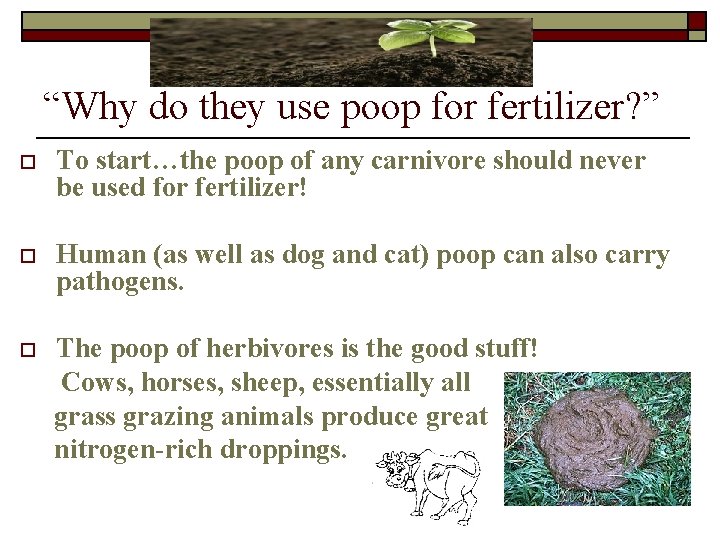 “Why do they use poop for fertilizer? ” o To start…the poop of any