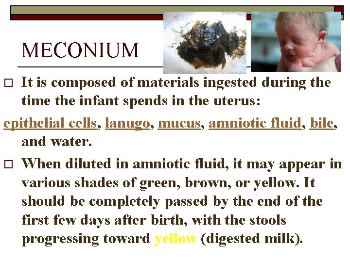MECONIUM It is composed of materials ingested during the time the infant spends in
