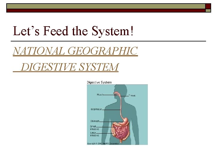 Let’s Feed the System! NATIONAL GEOGRAPHIC DIGESTIVE SYSTEM 