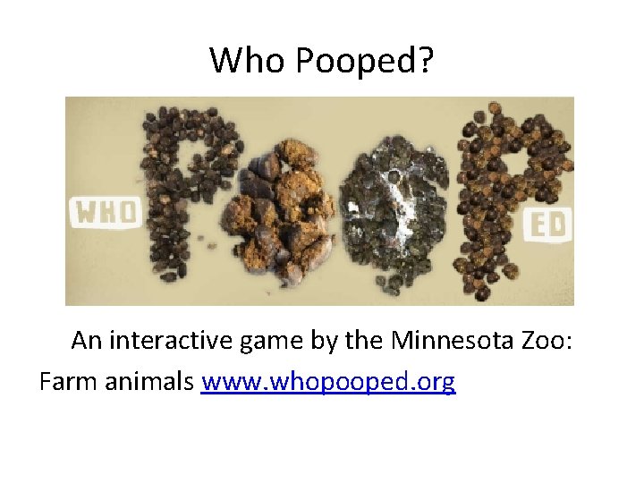 Who Pooped? An interactive game by the Minnesota Zoo: Farm animals www. whopooped. org