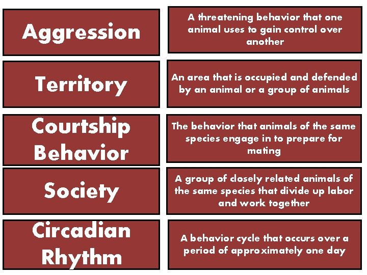 Aggression A threatening behavior that one animal uses to gain control over another Territory