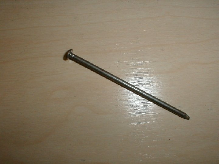 30. Common Nail 