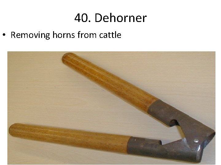 40. Dehorner • Removing horns from cattle 