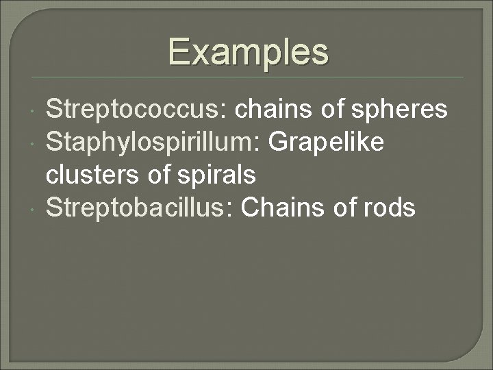 Examples Streptococcus: chains of spheres Staphylospirillum: Grapelike clusters of spirals Streptobacillus: Chains of rods