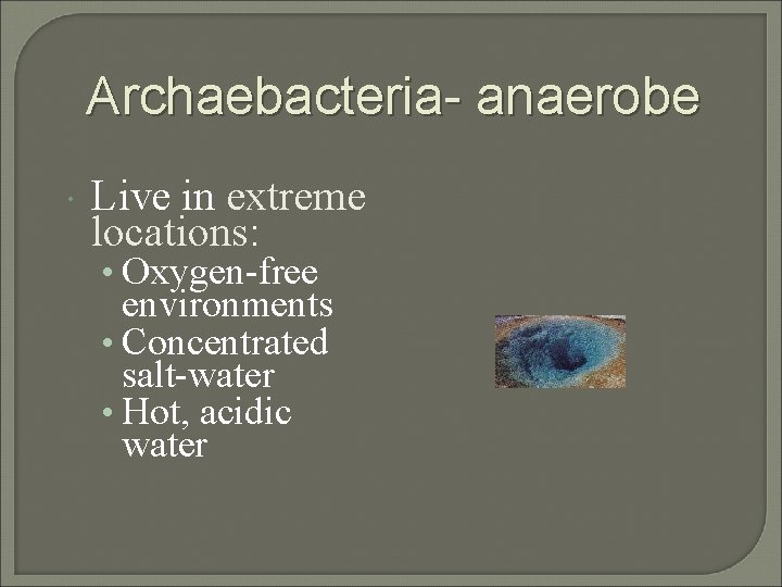 Archaebacteria- anaerobe Live in extreme locations: • Oxygen-free environments • Concentrated salt-water • Hot,