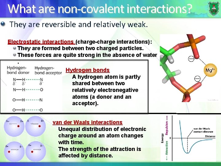 What are non-covalent interactions? They are reversible and relatively weak. Electrostatic interactions (charge-charge interactions):