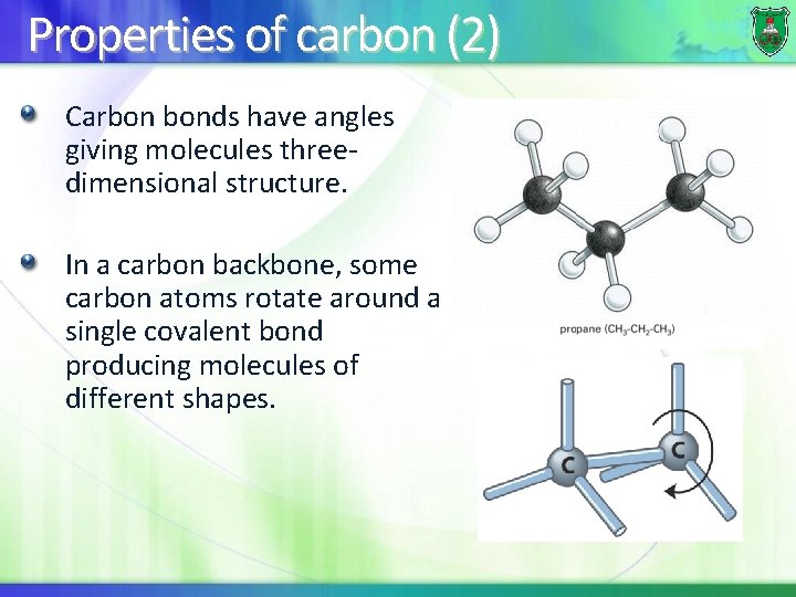Properties of carbon (2) Carbon bonds have angles giving molecules threedimensional structure. In a