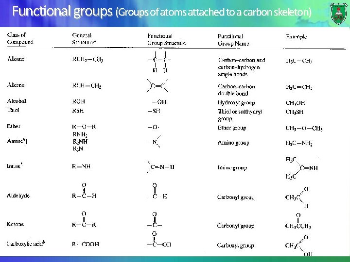 Functional groups (Groups of atoms attached to a carbon skeleton) 