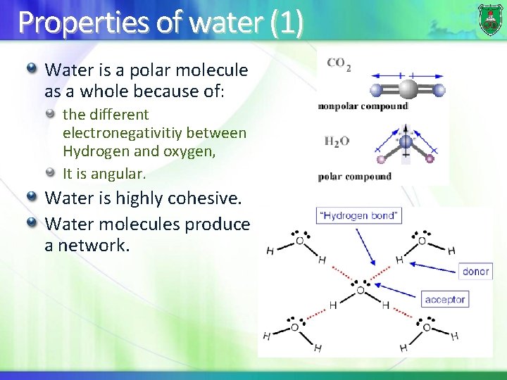 Properties of water (1) Water is a polar molecule as a whole because of: