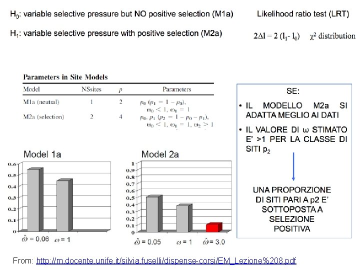 From: http: //m. docente. unife. it/silvia. fuselli/dispense-corsi/EM_Lezione%208. pdf 