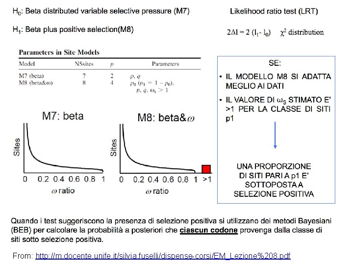 From: http: //m. docente. unife. it/silvia. fuselli/dispense-corsi/EM_Lezione%208. pdf 