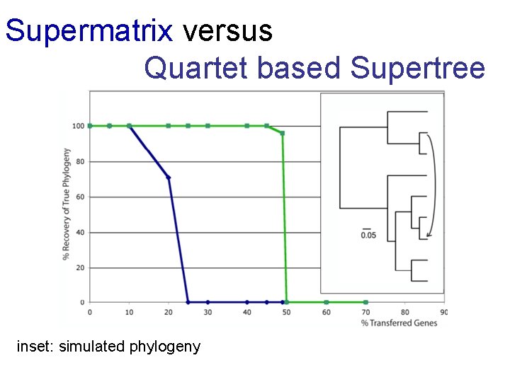 Supermatrix versus Quartet based Supertree inset: simulated phylogeny 