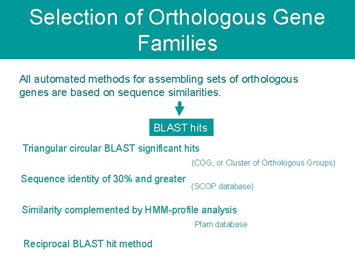 Selection of Orthologous Gene Families All automated methods for assembling sets of orthologous genes