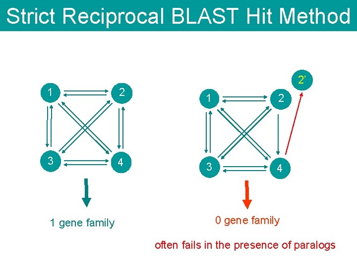 Strict Reciprocal BLAST Hit Method 2’ 1 2 3 4 1 gene family 1