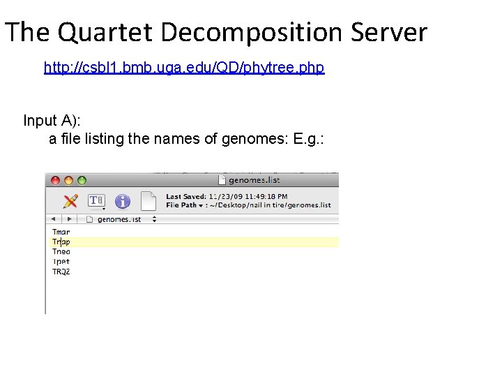 The Quartet Decomposition Server http: //csbl 1. bmb. uga. edu/QD/phytree. php Input A): a