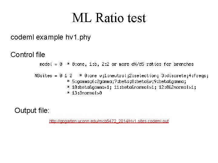 ML Ratio test codeml example hv 1. phy Control file Output file: http: //gogarten.