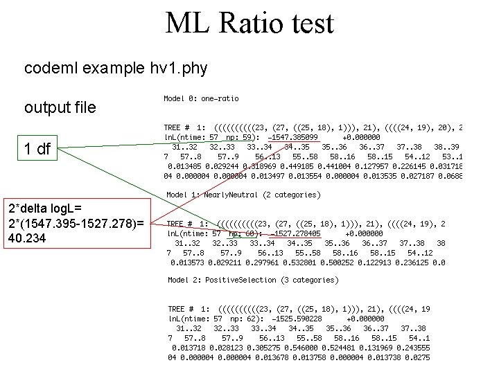 ML Ratio test codeml example hv 1. phy output file 1 df 2*delta log.