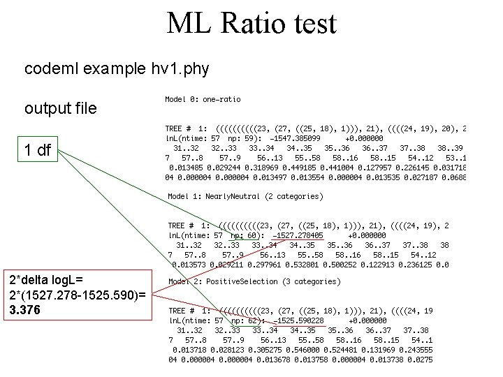 ML Ratio test codeml example hv 1. phy output file 1 df 2*delta log.